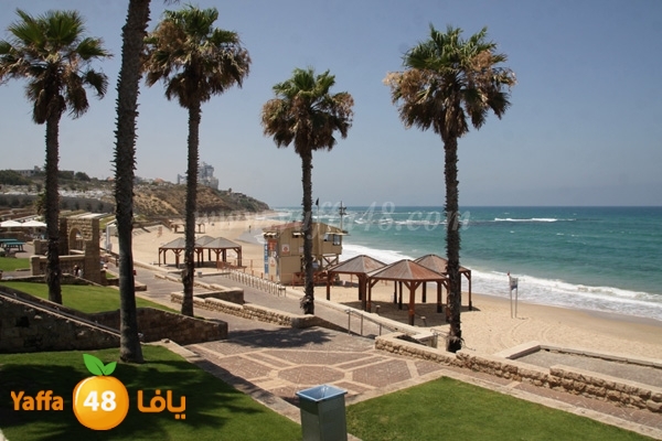 yaffa bareach (4).JPG